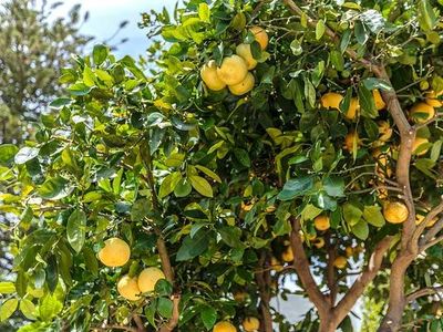 750 S Van Ness Ave, San Francisco, CA, 94110