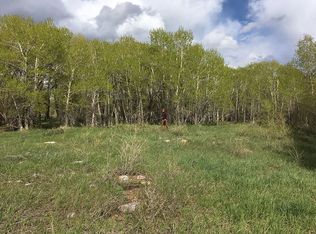 86 N Fork Rd, Centennial, WY 82055