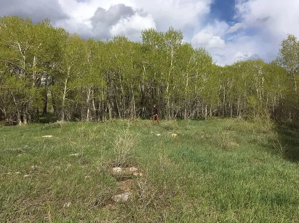 86 N Fork Rd, Centennial, WY 82055