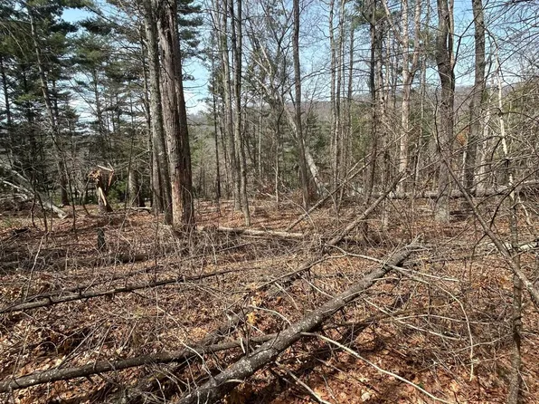 S At Rte #8, Gap Mills, WV 24941