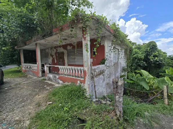 1 Bo Lomas, Canovanas, PR 00729