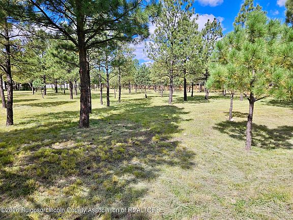 4th image of 105 Goldenrod Ln