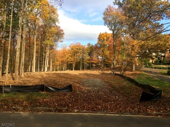 118 Old Stirling Rd, Warren, NJ 07059