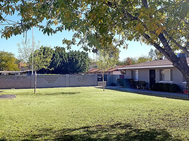 Pinefield — Photo 14