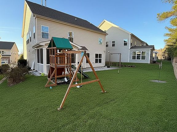 backyard covered with trees 