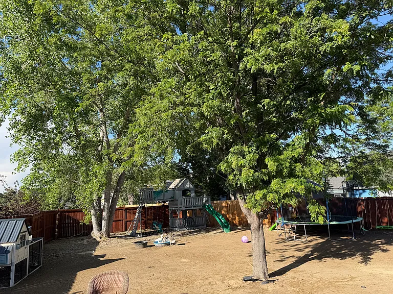 Aurora Way — Photo 36