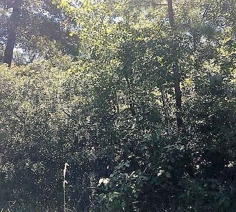 4th image of 2201 Vz County Road 4709
