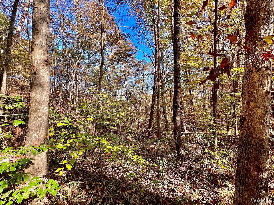 1st image of 0 N River Cir