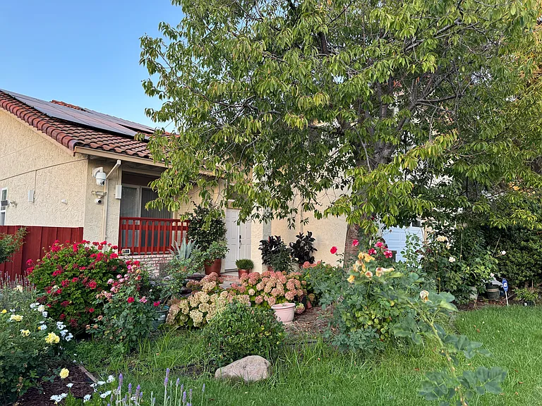 front yard