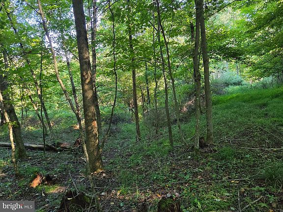3rd image of 0 Black Walnut Rd
