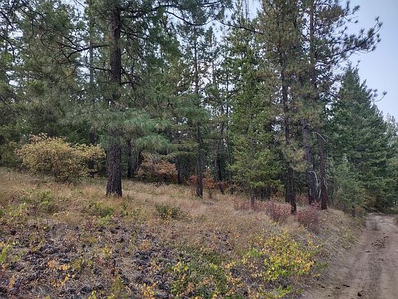 2nd image of Xx Lodgepole Ln