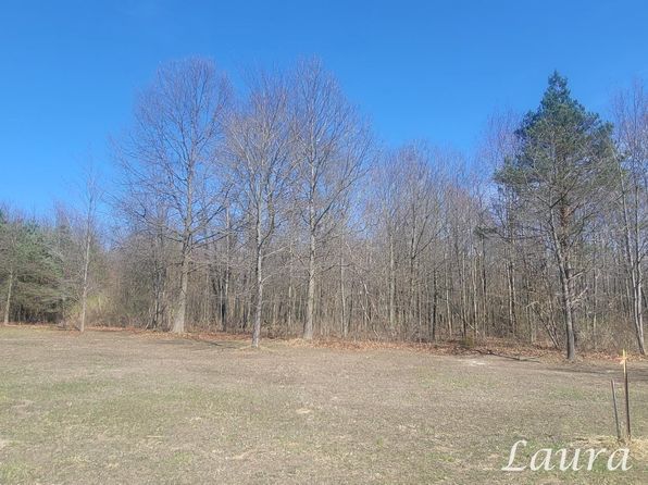 60th St PARCEL C, Fennville, MI 49408