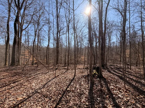 0 Tonya Trl Lot 5, Cumberland Furnace, TN 37051