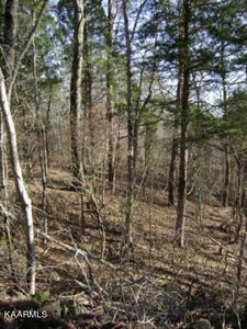 0 Tellico Camp Rd Lot 8&9, Madisonville, TN, 37354