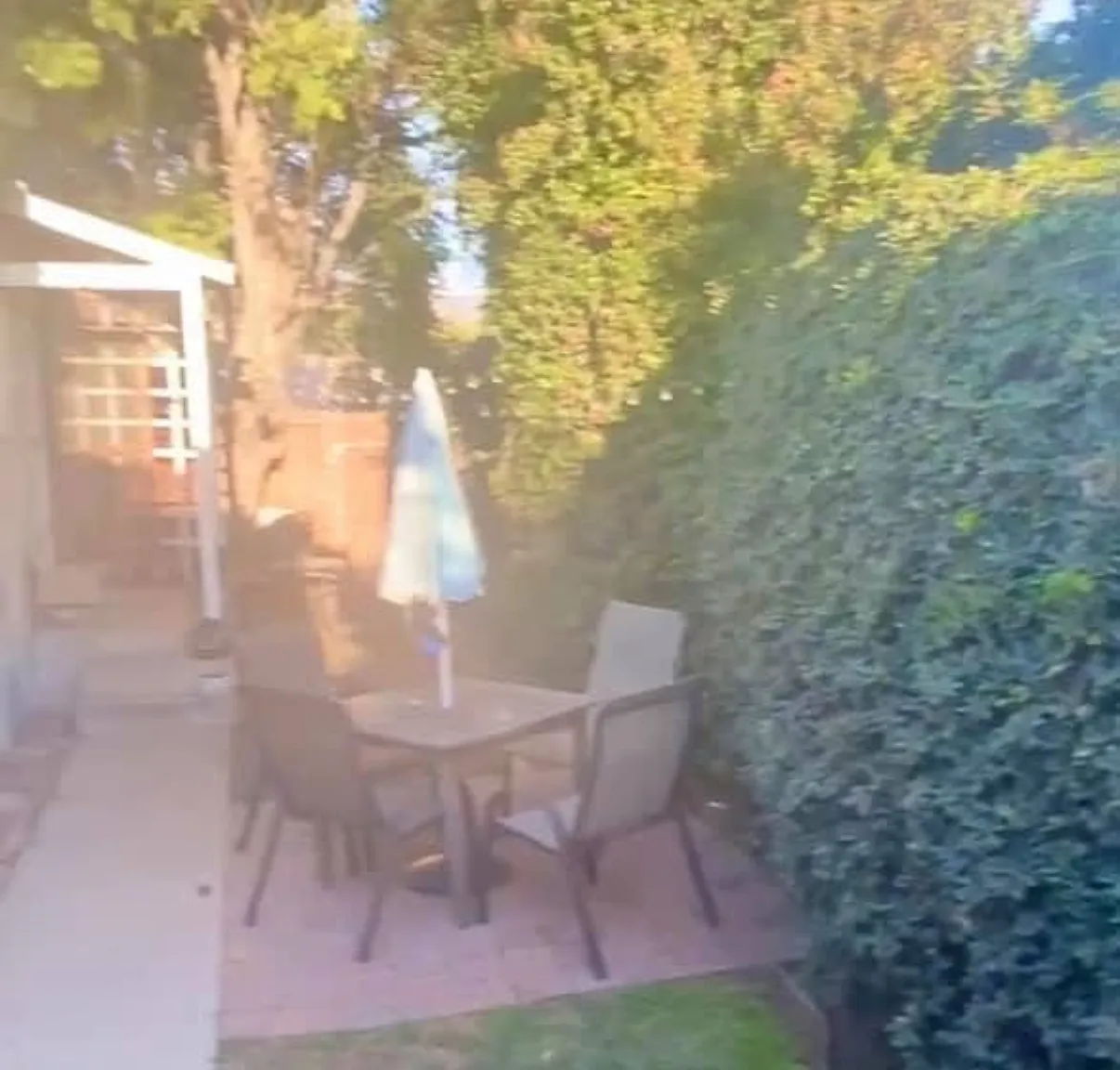 1 bed, 609 sqft, $2,000 — Photo 3