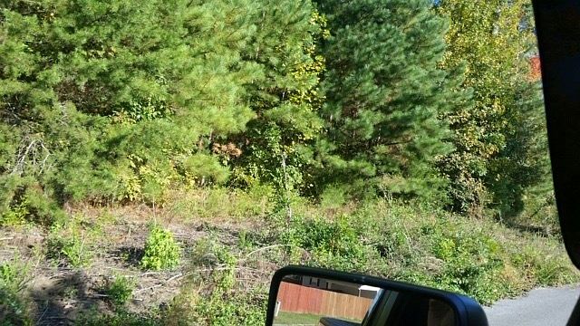2nd image of 0 Will Lewis Dr SE Lot 4