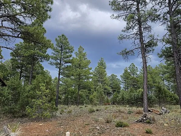 241 Summerberry Dr, Show Low, AZ 85901