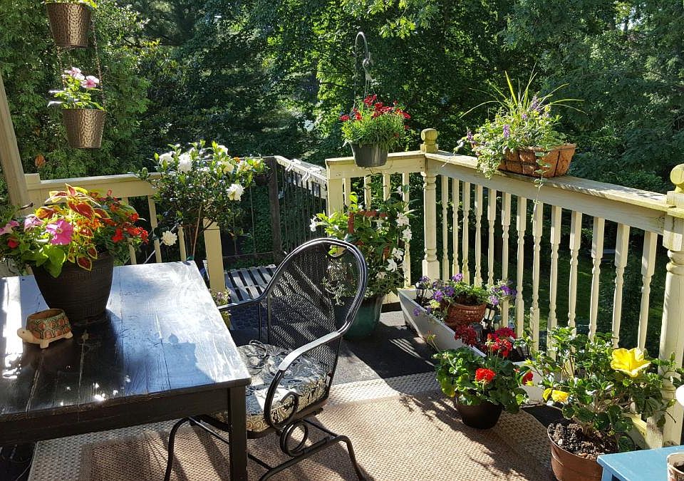 Deck #1