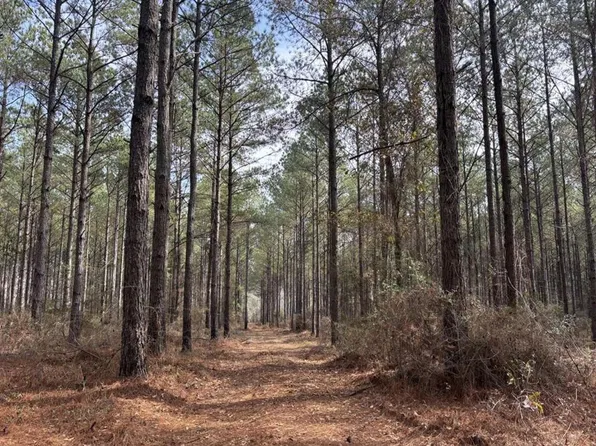 0 County Road 2270, Troy, AL 36079
