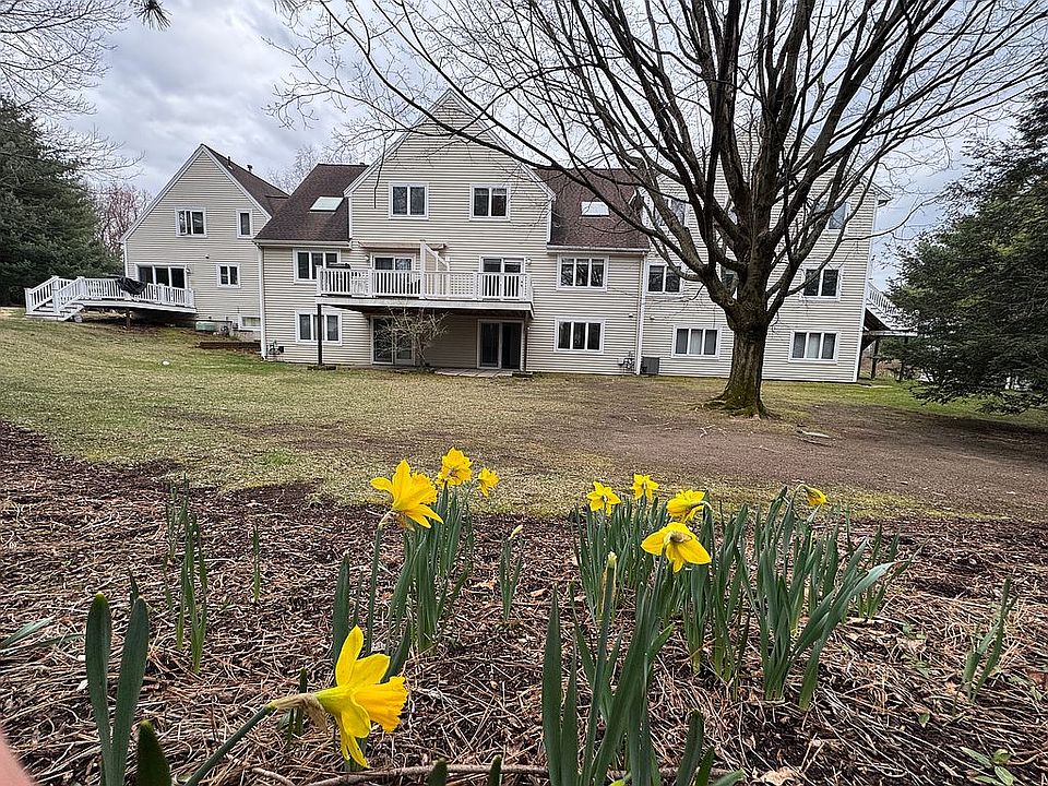 Back Yard View
