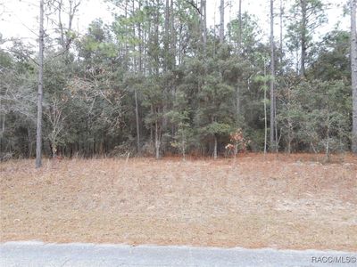9261 N Lily Dr, Citrus Springs, FL, 34434