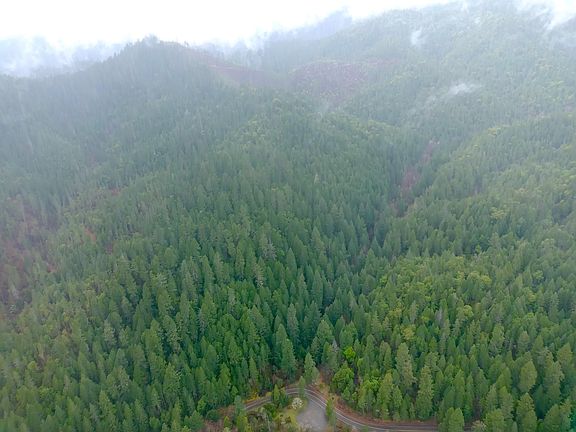 5th image of 1834 Waters Creek Rd