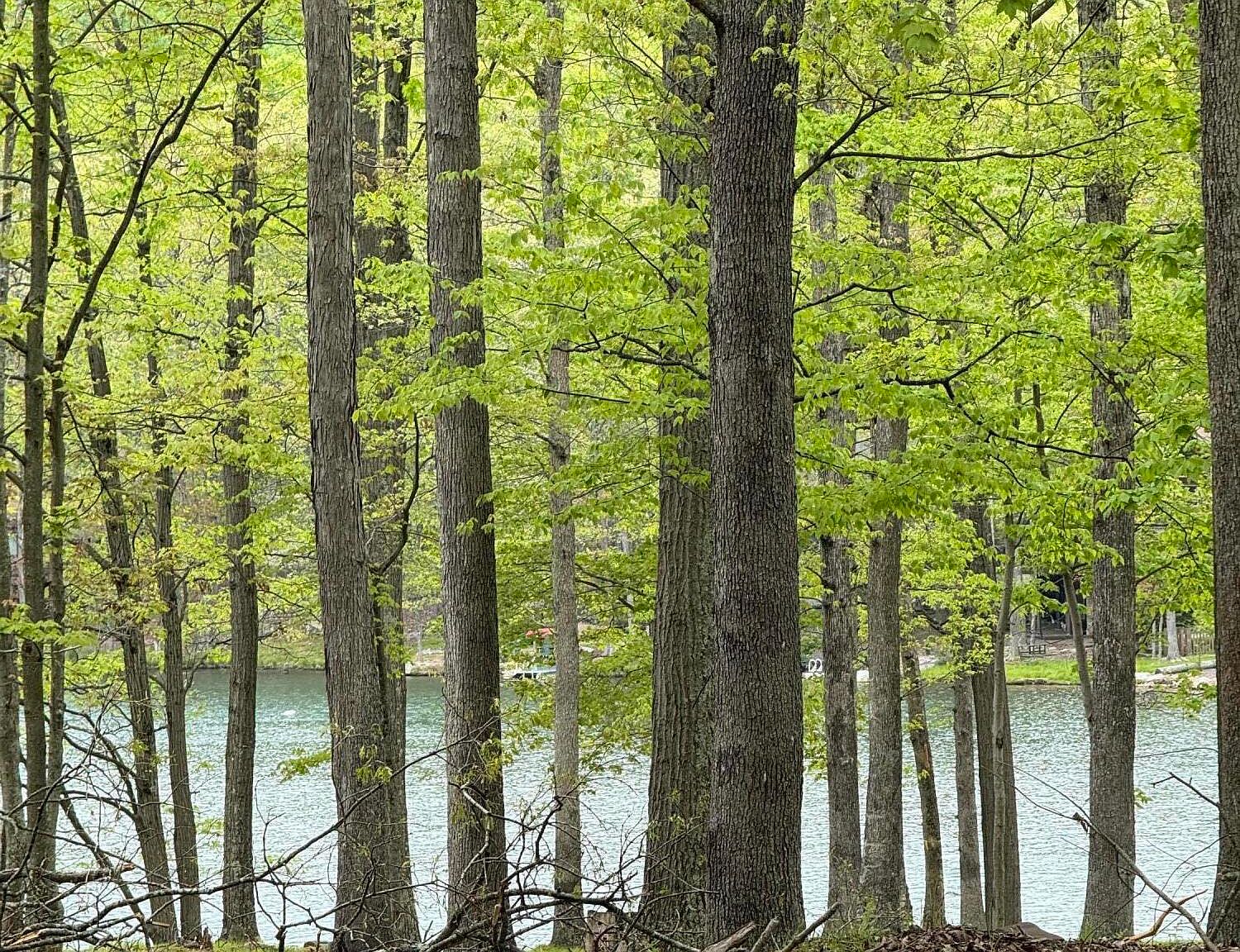 E 114 Conyngham Dr, Hazleton, PA 18202 MLS 242289 Zillow