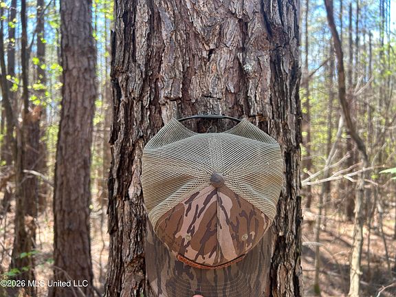 3rd image of State Highway 9