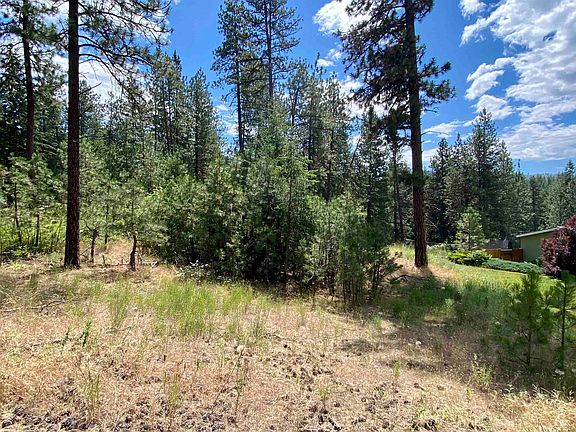 3rd image of 3256 Evergreen Dr