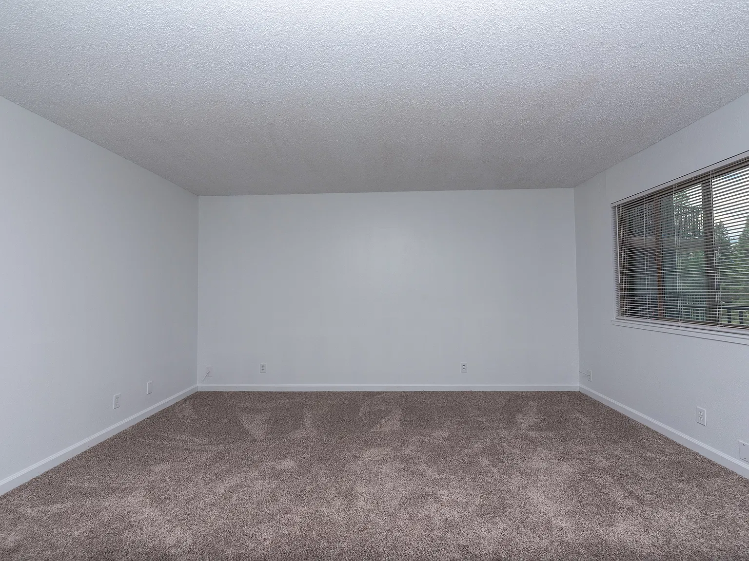2 bed, 800 sqft, $1,995 — Photo 2