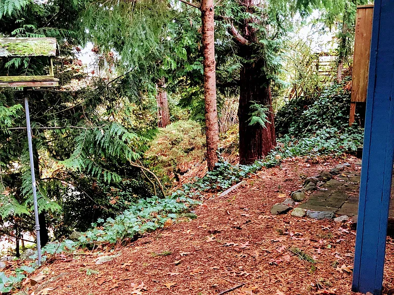 Landscaped grounds. Park like setting in the backyard offers lots of privacy.