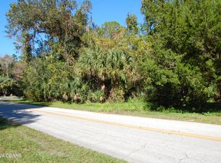 125 Jungle Rd, New Smyrna Beach, FL 32168