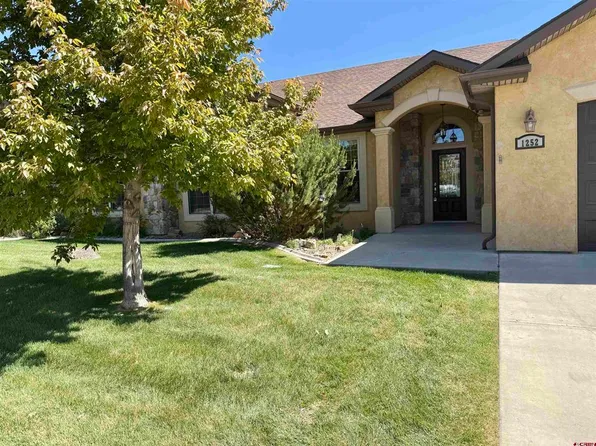 1252 Peppertree Drive, Montrose, CO 81401