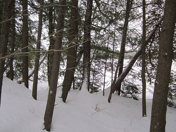 5th image of 15640 Dana Lake Ln