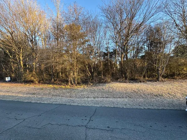 0 Magnolia Ln, Chatsworth, GA 30705