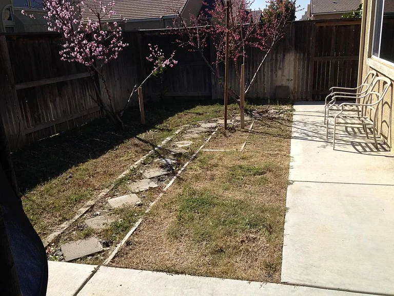 338 Ellison Pl — Photo 3