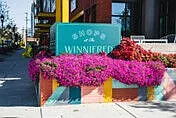 The Winnifred — Photo 37