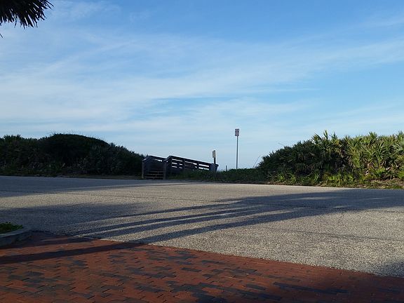 2nd image of 7 Sea Swallow Ter