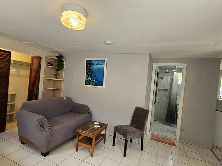 441 Kuliouou Rd #D — Photo 3