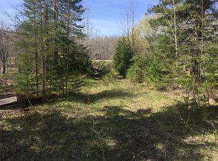 14401 Straits Highway 16.16 Acres, Wolverine, MI 49799