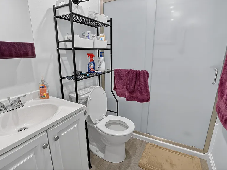 Lower level bathroom.