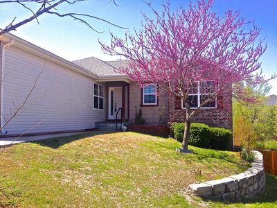 160 Sapling Dr, Branson, MO, 65616