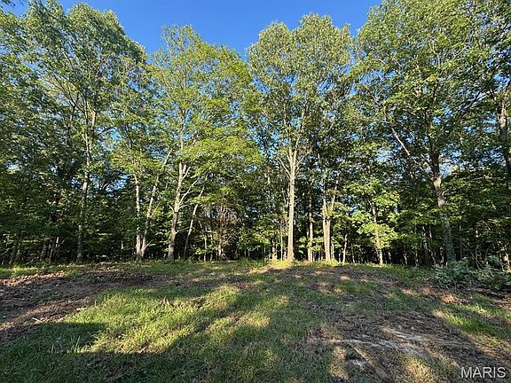 5th image of 160 Steeple Point Dr Lot 9