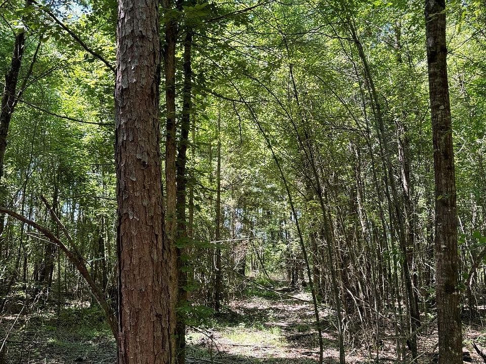 1st image of County Road 4335