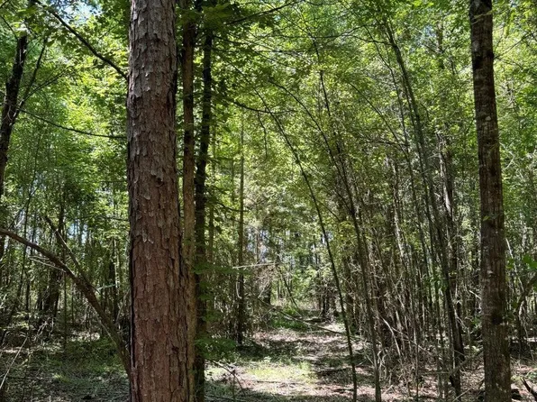 County Road 4335, Bivins, TX 75555