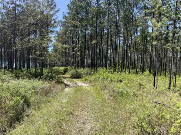 0 Orem Rd, Bay Minette, AL 36507
