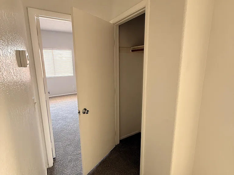 1503 Shotgun Ln — Photo 19