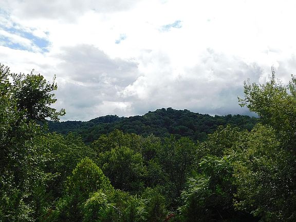 View from back deck.