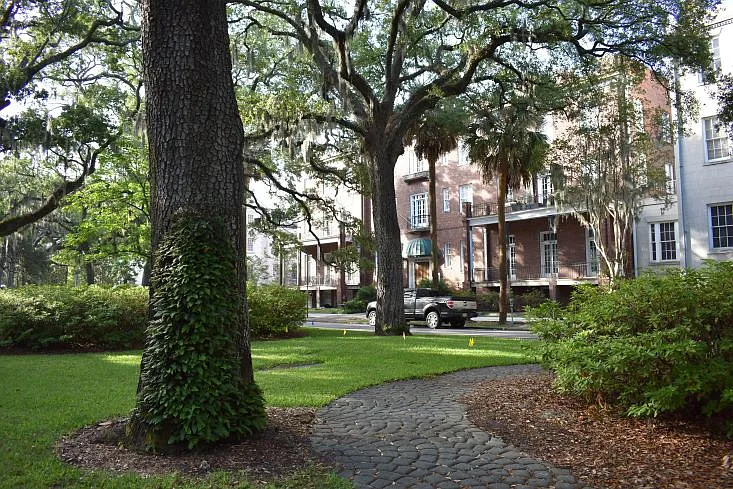 2 bed, 1000 sqft, $3,000 — Photo 3