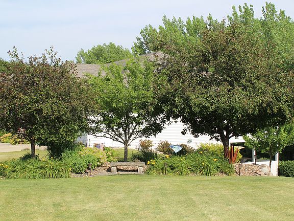 Professional Landscaping